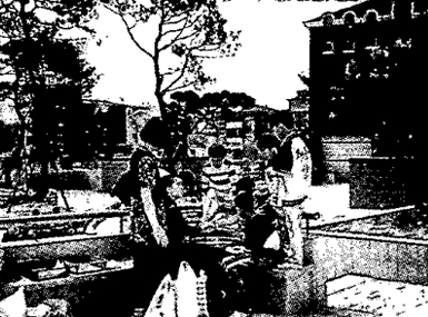연구동향