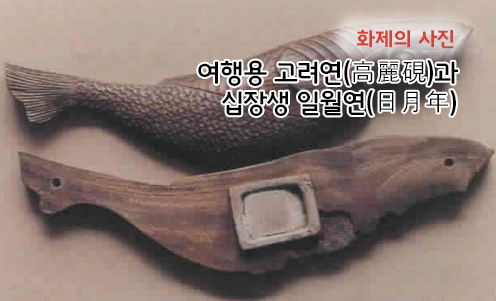 화제의 사진
