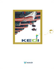 KEDI 2009  기관 영문브로슈어