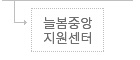 늘봄중앙지원센터
